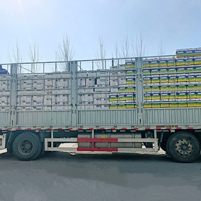 Fiberglass Meshes With Corner