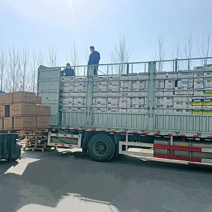 Fiberglass Meshes With Corner